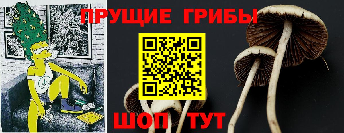 Псилоцибиновые грибы ЛСД Лабинск