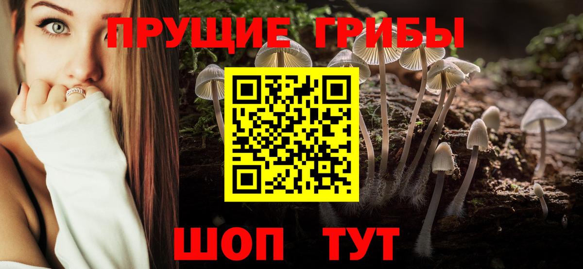 Галлюциногенные грибы Cubensis  как найти закладки  Вход с VPN  Лабинск  Галлюциногенные грибы Psilocybine cubensis 